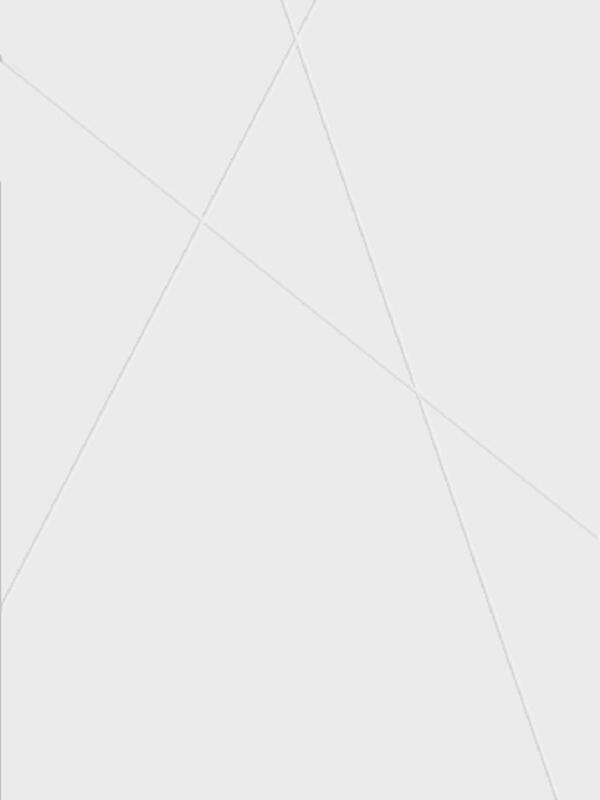 Белый, 600х2000, LR, б/врезки замка и петель