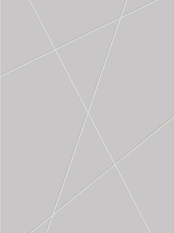 Светло-серый, 800х2000, LR, б/врезки замка и петель