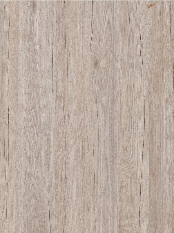 Дуб Галифакс, 800х2000, LR, б/врезки замка и петель, зеркало Веточки