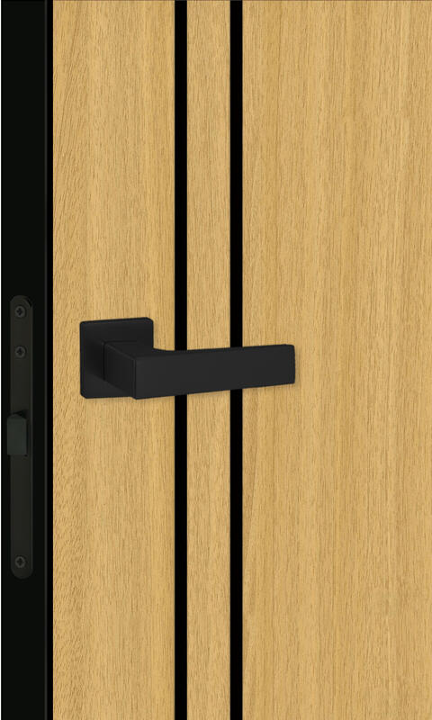 Орех американский соломенный, 800х2000, LR, б/врезки замка и петель, кромка ABS 2мм с 4х ст., цвет черный, молдинг цвет черный