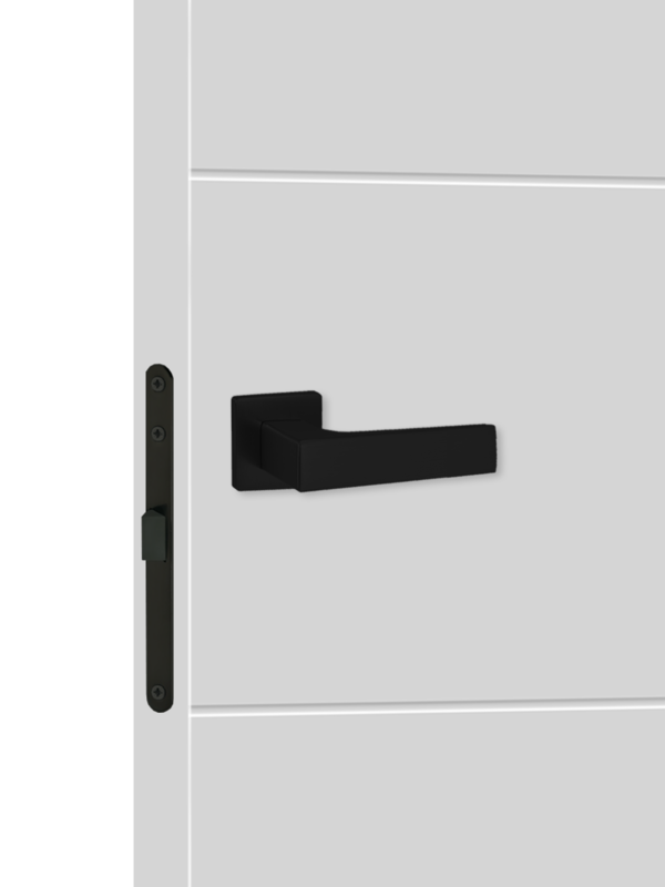 Светло-серый, 800х2000, LR, врезка п/з. 1895Р, без врезки п/петли, б/отв. п/фурнитуру