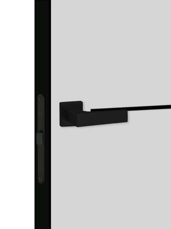 Светло-серый, 600х2000, LR, б/врезки замка и петель, кромка с 4х ст., цвет чёрный, молдинг цвет черный