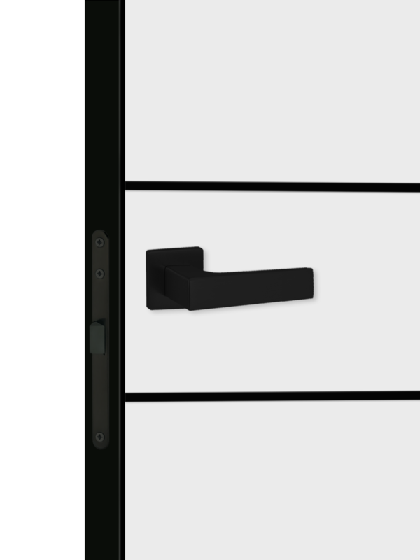 Белый, 800х2000, LR, б/врезки замка и петель, кромка с 4х ст., цвет чёрный, молдинг цвет черный