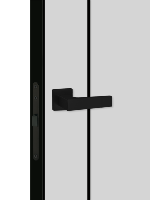 Светло-серый, 600х2000, LR, б/врезки замка и петель, кромка с 4х ст., цвет чёрный, молдинг цвет черный