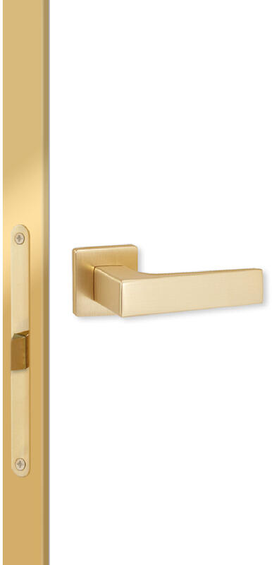 600х2000, LR, з. M1895 MSG, врезка п/скр. п. Kubica K6360/38 2шт, алюм. кромка шампань с 2х ст.