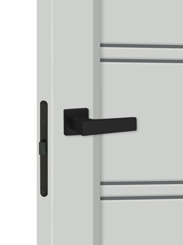 Доломит, 600х2000, LR, б/врезки замка и петель, стекло Мателюкс Графит