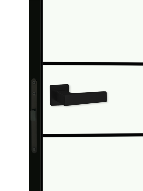 Белый Опал, 700х2000, LR, б/врезки замка и петель, кромка ABS 2мм с 4х ст., цвет черный, молдинг цвет черный