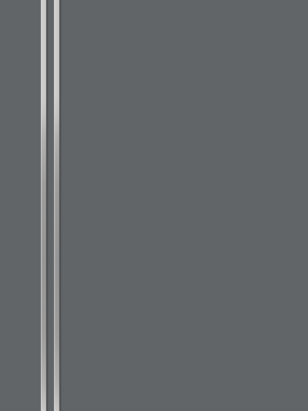 Вулкан, 800х2000, LR, б/врезки замка и петель, кромка ABS 2мм с 4х ст., молдинг цвет алюм.