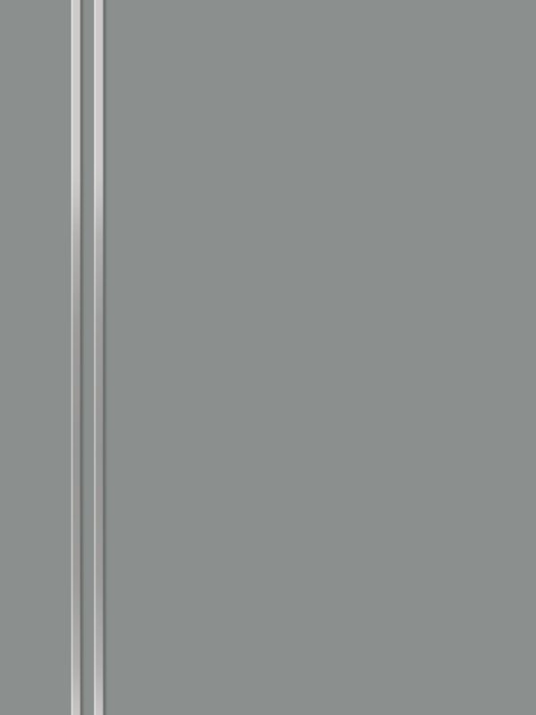 Серый Агат, 600х2000, LR, б/врезки замка и петель, кромка ABS 2мм с 4х ст., молдинг цвет алюм.