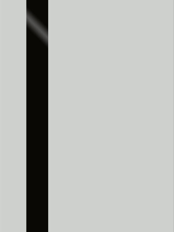 Доломит, 800х2000, LR, б/врезки замка и петель, стекло Лакобель черное, кромка ABS 2мм с 4х ст.