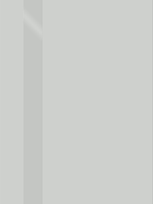 Доломит, 800х2000, LR, б/врезки замка и петель, стекло Лакобель светло-серый, кромка ABS 2мм с 4х ст.