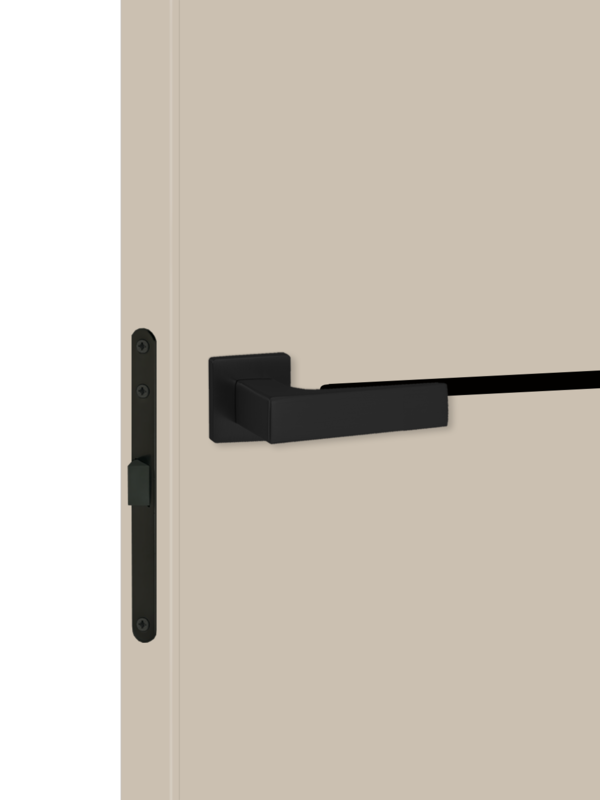 Кварцит, 800х2000, LR, б/врезки замка и петель, кромка ABS 2мм с 4х ст., молдинг цвет черный