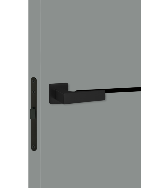 Серый Агат, 800х2000, LR, б/врезки замка и петель, кромка ABS 2мм с 4х ст., молдинг цвет черный