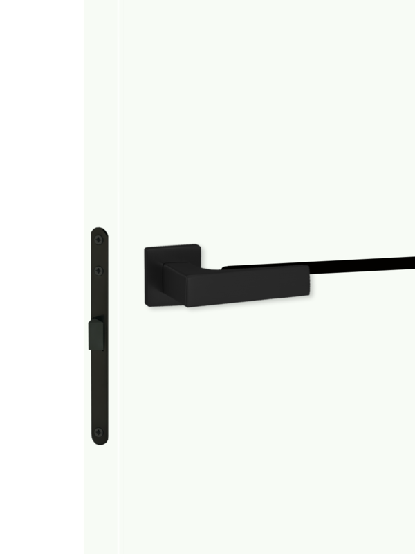 Белый Опал, 600х2000, LR, б/врезки замка и петель, кромка ABS 2мм с 4х ст., молдинг цвет черный