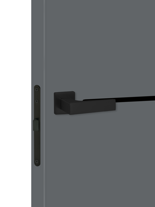 Вулкан, 700х2000, LR, б/врезки замка и петель, кромка ABS 2мм с 4х ст., молдинг цвет черный