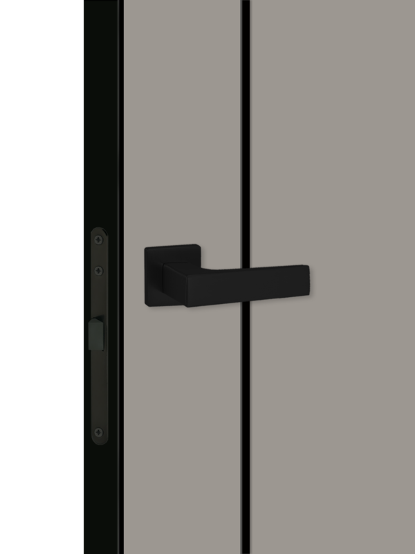 Макиато, 700х2000, LR, б/врезки замка и петель, кромка ABS 2мм с 4х ст., цвет черный, молдинг цвет черный