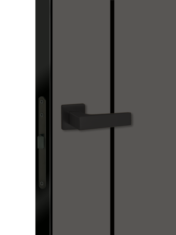 Феникс, 800х2000, LR, з. M1895 BL (черный), без врезки п/петли, чёрная алюм. кромка с 4х ст.