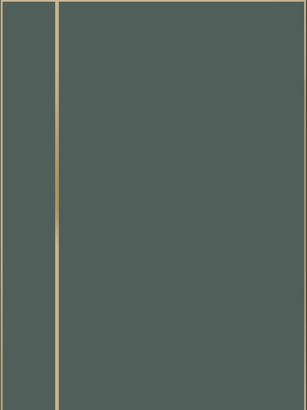 Яшма, 800х2000, LR, з. M1895 MSG, без врезки п/петли, алюм. кромка шампань с 4х ст.